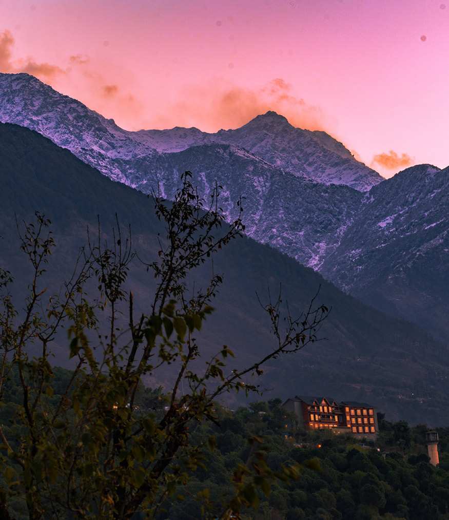 Aktuelles & Angebote – TESTSEITE